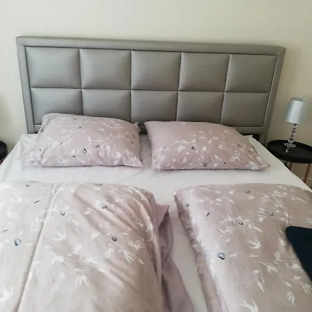 Przestronny 아파트 오스토프 빌코폴스키